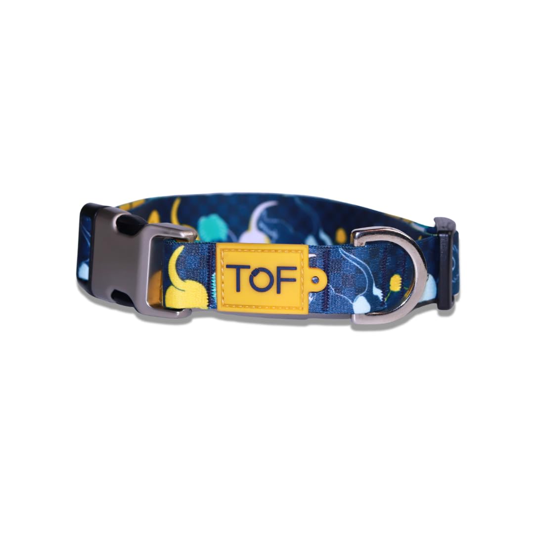 Tales of Fur Tails Ahoy! Premium Metal Buckle Collar with D-Ring (Large) (B0CG6N11BG) Amazon Price History, Amazon Price Tracker