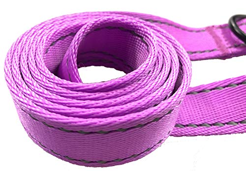 Primal Pet Gear 6ft Long Heavy Duty Double 2 Handle Dog Leash for Large and Medium Dogs, Tough Metal Clip, Durable leashes, Training Lead for Puppy, Strong Dog Leads, Reflective Stitching, Purple