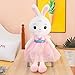 LNNXY Cartone Animato Coniglio Peluche Cartone Animato Carino Indossare Gonna Coniglio Bambola Bambini Ragazza Regalo Rosa 80cm