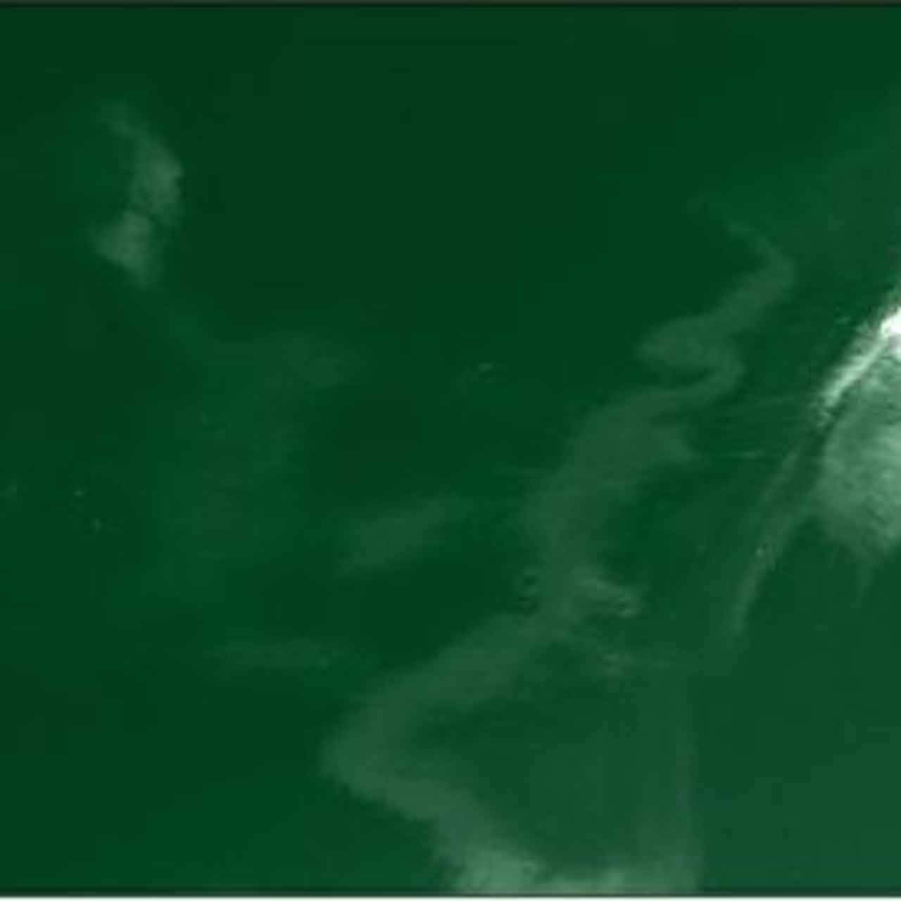 Revco 6X10V1-GRN 6'X10' 14mil. 1 Panel Green Saf-Vu Welding Screen Only