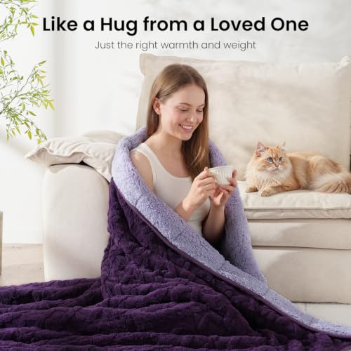 Image of Drewin Queen Size 15lbs Weighted Blanket for Adults, Soft Cozy Turtleback Sherpa Weighted Blankets for Sleeping and Calming, Thick Bed Blanket for Couch Bed, 48 x 72 inches, Dark and Light Purple