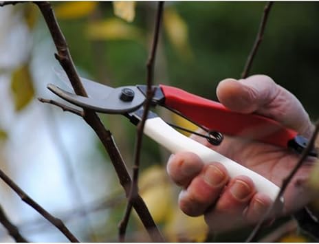 Okatsune 103 Okatsune Pruning Shears Unique 200 Boxed