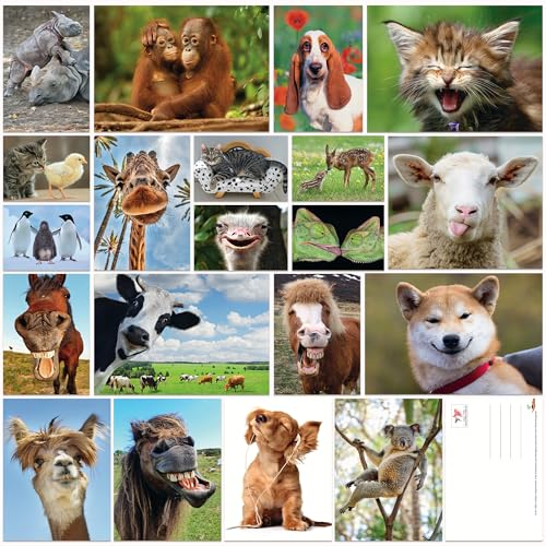 Edition Colibri Jogo de cartões postais divertidos e bonitos de todo o mundo para crianças, amigos, presentes de equipa e pós-crossing, feito à mão, fabricado na Alemanha, produção sustentável (jogo