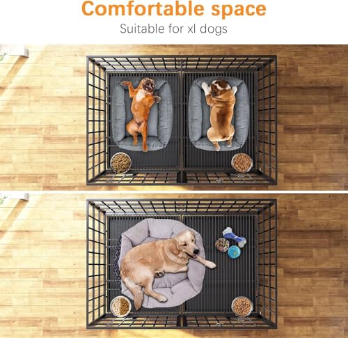 Hundekäfig, Hundebox mit Bodenschale, Hundekäfig mit Trennwand, Hundegitterbox mit 2 Türen und Tablett, 2 in 1 Doppelbox Hundegitterbox für Große und mittlere Hunde, 120 x 73 x 68 cm, Schwarz
