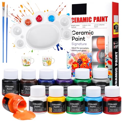 Teokantz Porzellan Farben, 12 Stück 25ml Keramikfarben zum Einbrennen, Glas- und Porzellanfarbe, Farbe für Glas Tassen Keramik Bemalen, mit 1...