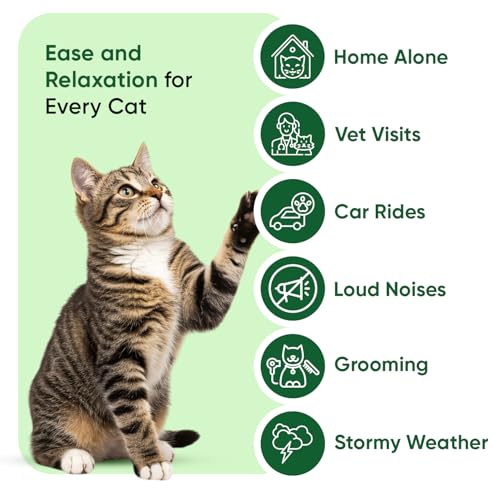 Hemp Oil for Cats 60ml - Pure, Natural & Cold-Pressed - Cat Calming Products for Loud Noises, Car Rides & Home Alone - Rich in Omega 3, 6 & 9 - Cat Calmer for Skin, Coat, Bones & Joints - Image 4
