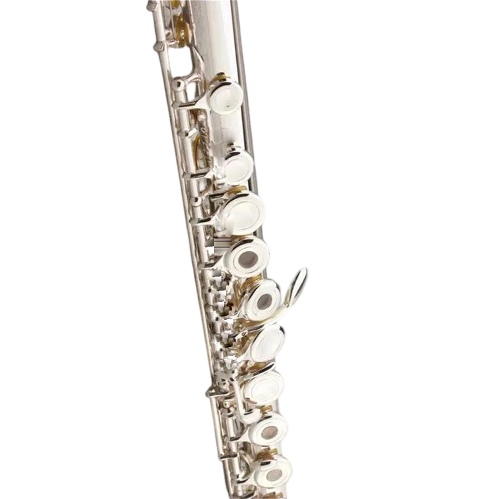 Flute Flauta C de 17 hoyos