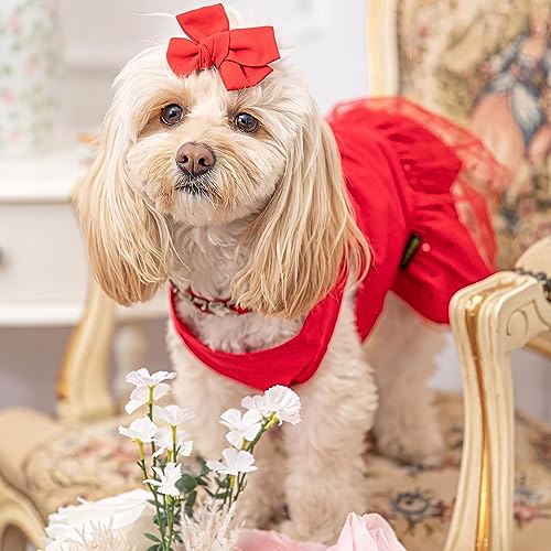 Fitwarm 2-Pack Dog Xoxo Tulle Dress, 100% Cotton Dog Clothes For Small Dogs Girl, Cat Apparel, Red, Medium #TOP1