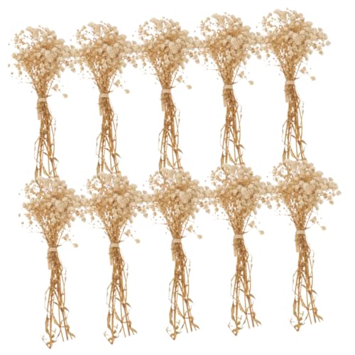 Ramo de Flores Secas Alipis Babys Breath Beige