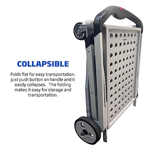 Best Collapsible Shopping Carts for Seniors