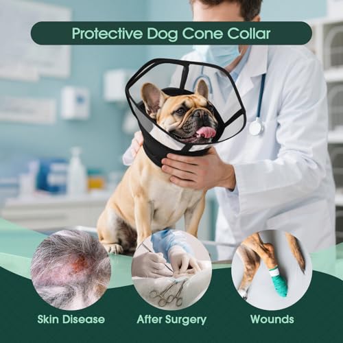 Image of Kuoser Dog Cone Collar After Surgery, Soft Cone for Dogs to Stop Licking, L | Breathable Dog Recovery Collar Comfortable Elizabethan Collars, Adjustable Protective Pet Cones for Small Medium Large Dogs