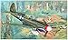 Trumpeter 02212 1/32 P-40N Kitty Hawk Model kit