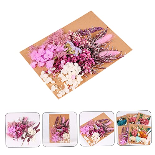 Unomor kit flores secas para manualidades decorativas miniatura 5