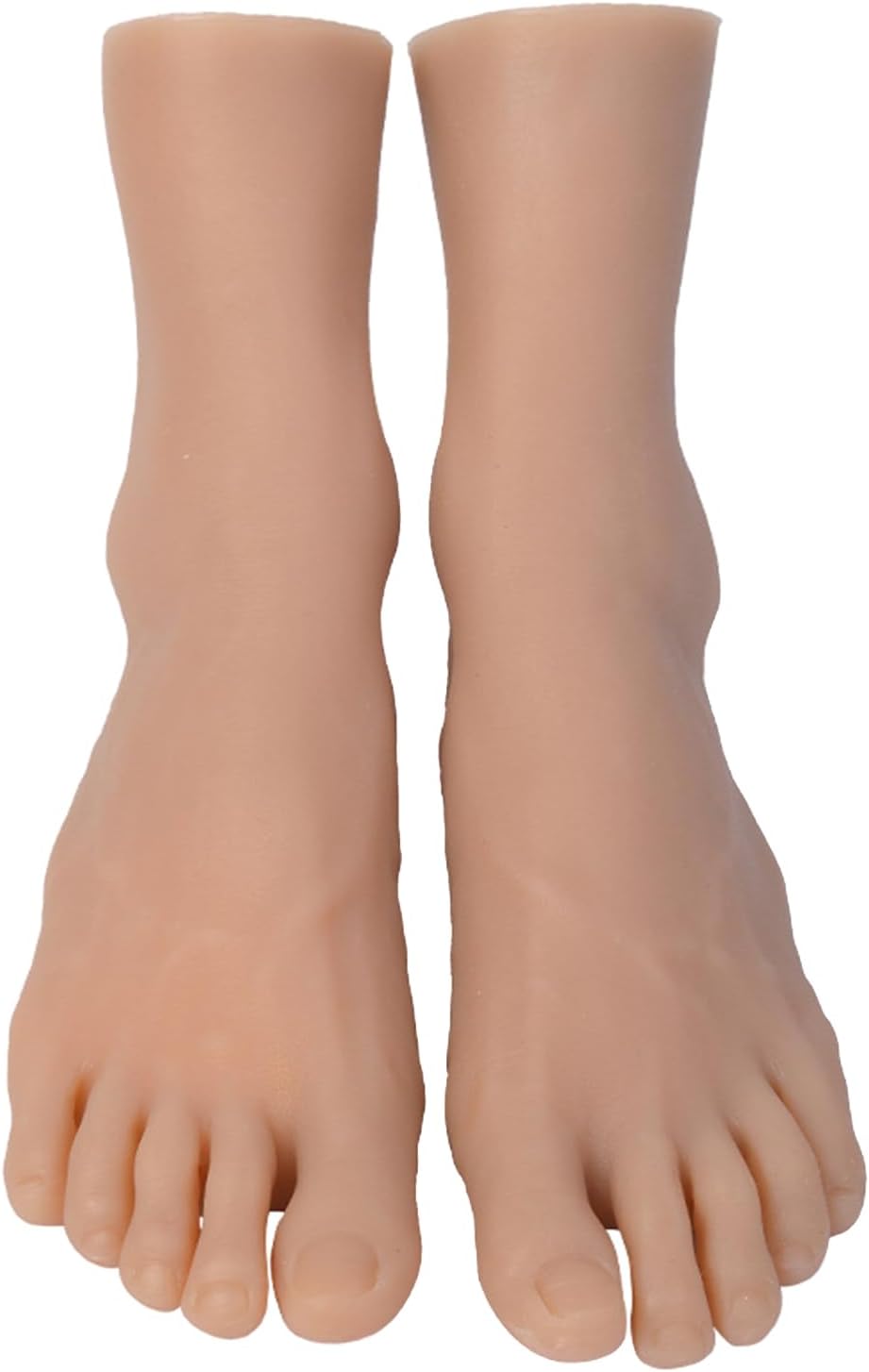 Anatomical Foot Replicas Size 44 Shoe Display Foot Model Suitable for Education Artistic Anatomy Study Shoe Photography