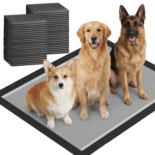 Image of Charcoal Dog Pads, XXL 30 inchx36 inch, All Edge-Wrapped, Odor-Control Thick Pad