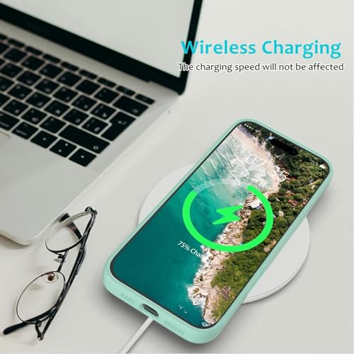 Image of ArmourPro Silicone Back Case for iPhone 16 Pro Max, Soft-Touch Case | GreenishCyan