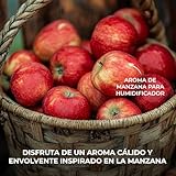 Bali fragancias Esencia al Aceite de Manzana para Humidificador....