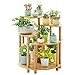 Xiaodou Étagère Plantes Combinaison Ventilateur en Forme de Fleur Balcon Plateau intérieur Multi-étages Salon Plancher Pot Rack Plante Jardinière Pot étagère Bonsaï étagère