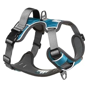 Embark Pets Adventure Dog Harness, No Pull Dog Harness with 2 Leash Clips, Dog Harness Medium Anti Pull Dog Harness Front & Back with Control Handle, Adjustable, Soft & Padded