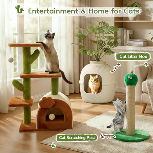 Árbol de gato cactus para interiores 27.5 pulgadas miniatura 6