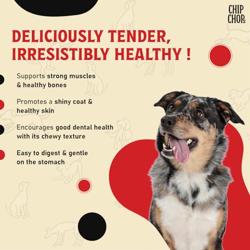 Chip Chops Roast Duck Slice Dog Treat, Optimum Health Formula, Highly Nutritional & Digestible, Suitable for All Dog Breeds, Easy to Digest, No Artificial Flavors Added, Single Pack - 70g
