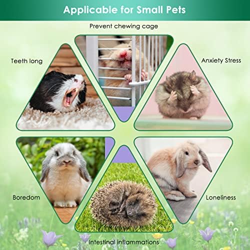 ERKOON Bunny Chew Toys, 11 Pcs Small Animals Teeth Toy, Rabbit Boredom Breaker, Sepak Takraw, Straw Cracker Ball Bell Roller Teeth Care Molar Toy for Rabbit, Guinea Pig, Chinchilla, Hamster
