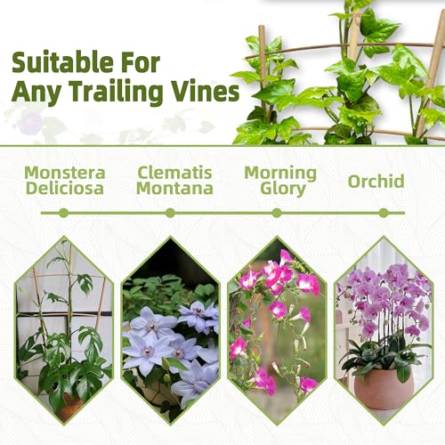 10 Pack 16\" Bamboo Trellis for Climbing Plants-Natural Garden Ladder Trellis, Fan -Shaped Support Trellis for Potted Plant Decor in Door