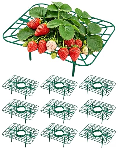 Unves 10 Pack Strawberry Plant Support Square Strawberry Plant Stand Suitable for Garden Strawberries Melons and Other Fruits Planting Holder Keeping Garden Strawberries Plants Clean