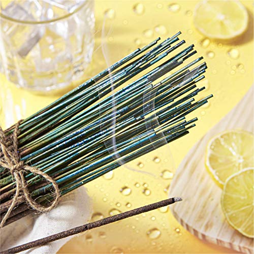 1 X Fizzy Pop - 100 Wildberry Incense Sticks #TOP2
