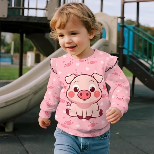 Girls Round Neck Long Sleeve Sweatshirt Breathable Cute Hoodless Pullover Everyday Casual Top for Kids Age 1-8 Years3