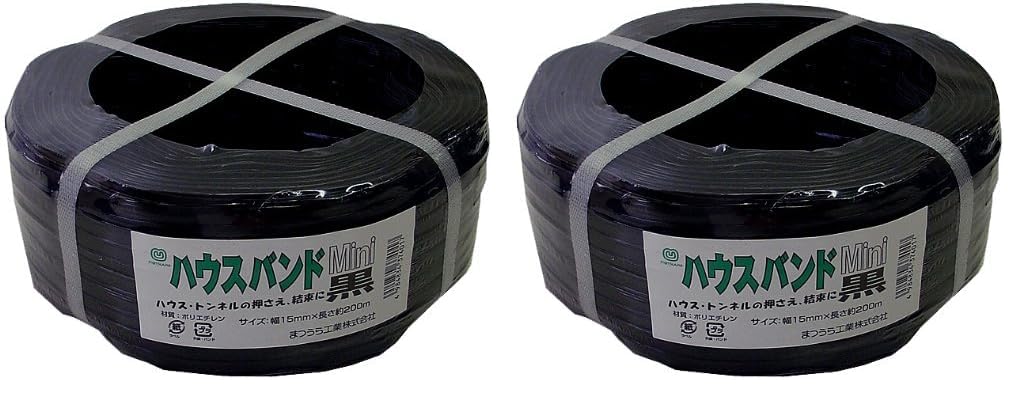まつうら工業 ハウスバンドミニ 3芯 幅15mm 長さ200m 黒 #312