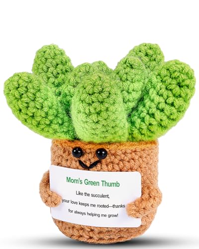 JELUTAR Crochet Positive Succulent