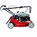 Einhell GH-PM 40 P - Cortacésped de gasolina (1600 Vatios, altura de...