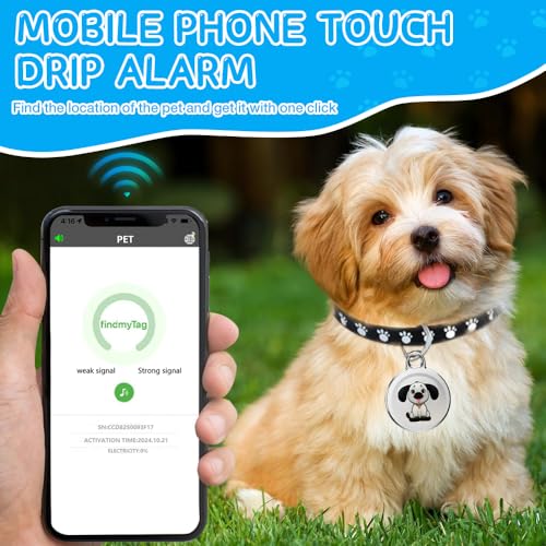 WDKXCN Mini GPS-Tracker für Hund und Katze - IP65-Wasserdichter Haustiersystem, Schlüsselschnalle mit Echtzeit-Standortverfolgung