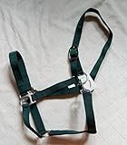 Mini Shetty grün Halfter, Kunststoffhalfter \