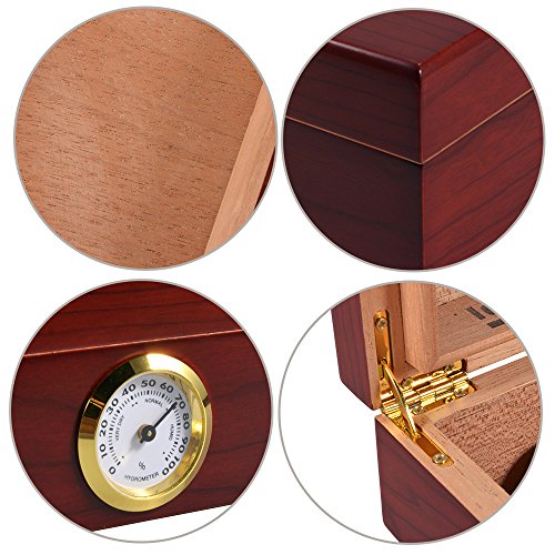 Volenx Desktop Cigar Humidor Case Glasstop Cigar Storage Box, Cherry Finish With Hygrometer And Humidifier Holds 25 Cigars #TOP5