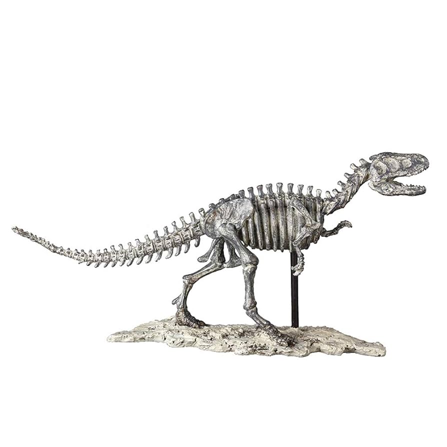 Amazon.co.jp: 恐竜スケルトン彫刻、ティラノサウルススケルトン