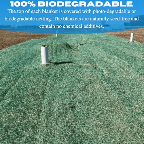 VBS - American Excelsior QuickGrass Pro - Green Erosion Control Blanket Landscape Roll, Erosion Control Blanket, Wooden Erosion Control Fabric, Green, Biodegradable, Excelsior Netting (4' x 112.5')