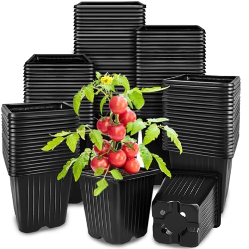 Anyumocz 100Pcs Square Plant Nursery Pots,3.5 Inch Plastic Pots with Drainage Holes,Reusable Seed Starter Pots for Flowers,Vegetables,Garden Planting,Transplanting,Succulents,Cuttings(Black)