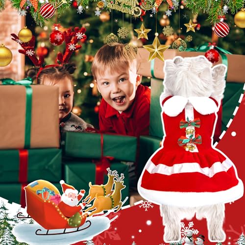 Vestido de Navidad para perro Santa Claus talla Large miniatura 6