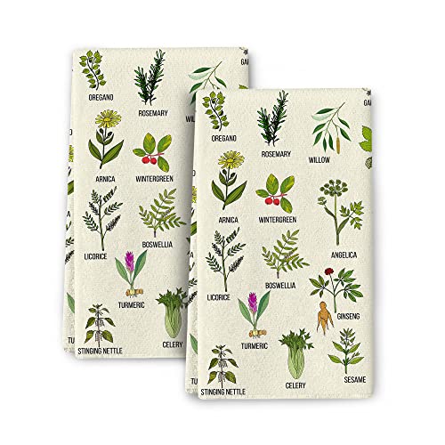 Bapcoku Cute Herbs Botanic Garden Plants Kitchen Dish Towels Set of 2, Ultra Soft Absorbent Hand Drying Baking Cooking Cloth, Spring Summer Holiday Home Decor 16'' x 24''