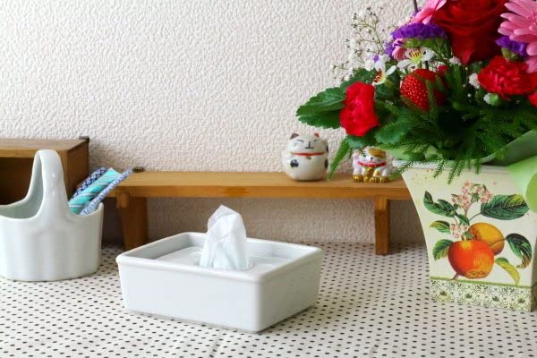 Amazon｜cerapockke 《全国 陶器製ティッシュボックス シンプル