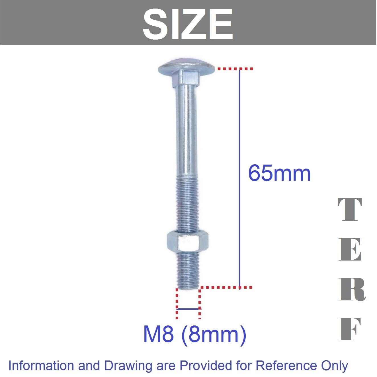 TERF® M8 X 65mm Cup Square Carriage Bolt and Nut M8 (8mm) X 65mm Coach Bolts with Hexagon Nuts - Pack of 10 - Image 3