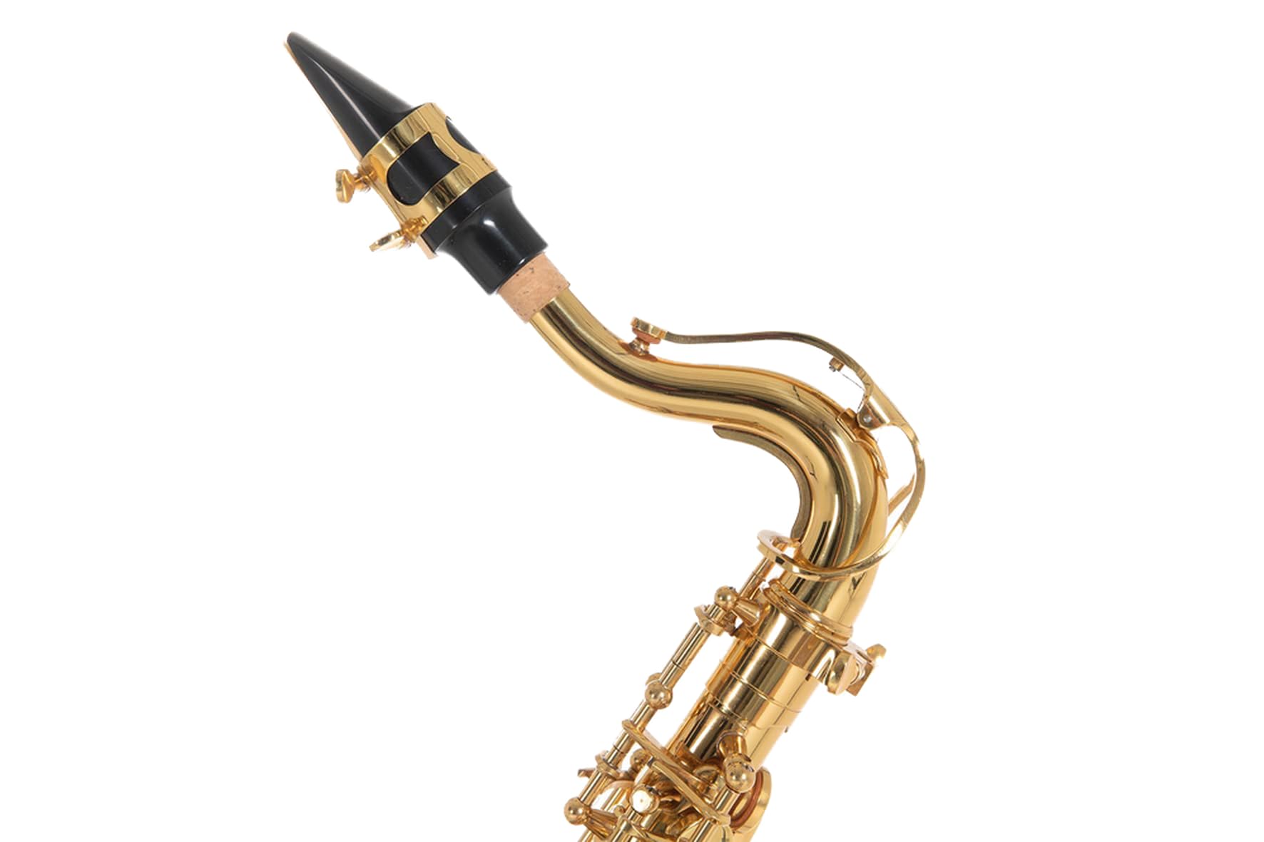 Roy Benson Eb-Alt Kinder Saxophon AS-201 (Speziell für Kinder entworfen, inklusive Putztuch, mit Harness-Tragegurt, im leichten Rechtecketui, mit Rucksackgarnitur)