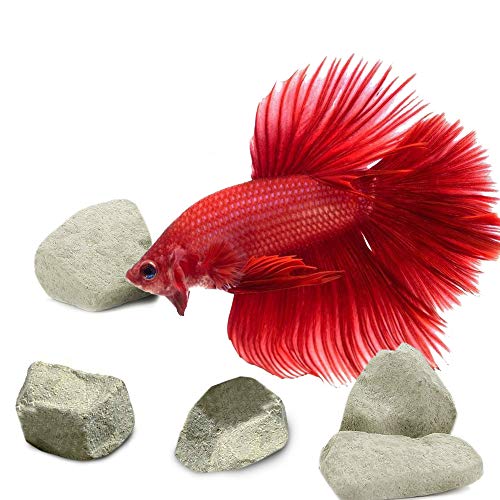 SunGrow Aquarium Rocks and Powder, Enhances Shrimp's Color, Helps Shedding, Supplemental Food for Shrimps, Crayfish & Snails, Tasty Snack, 1.7 oz