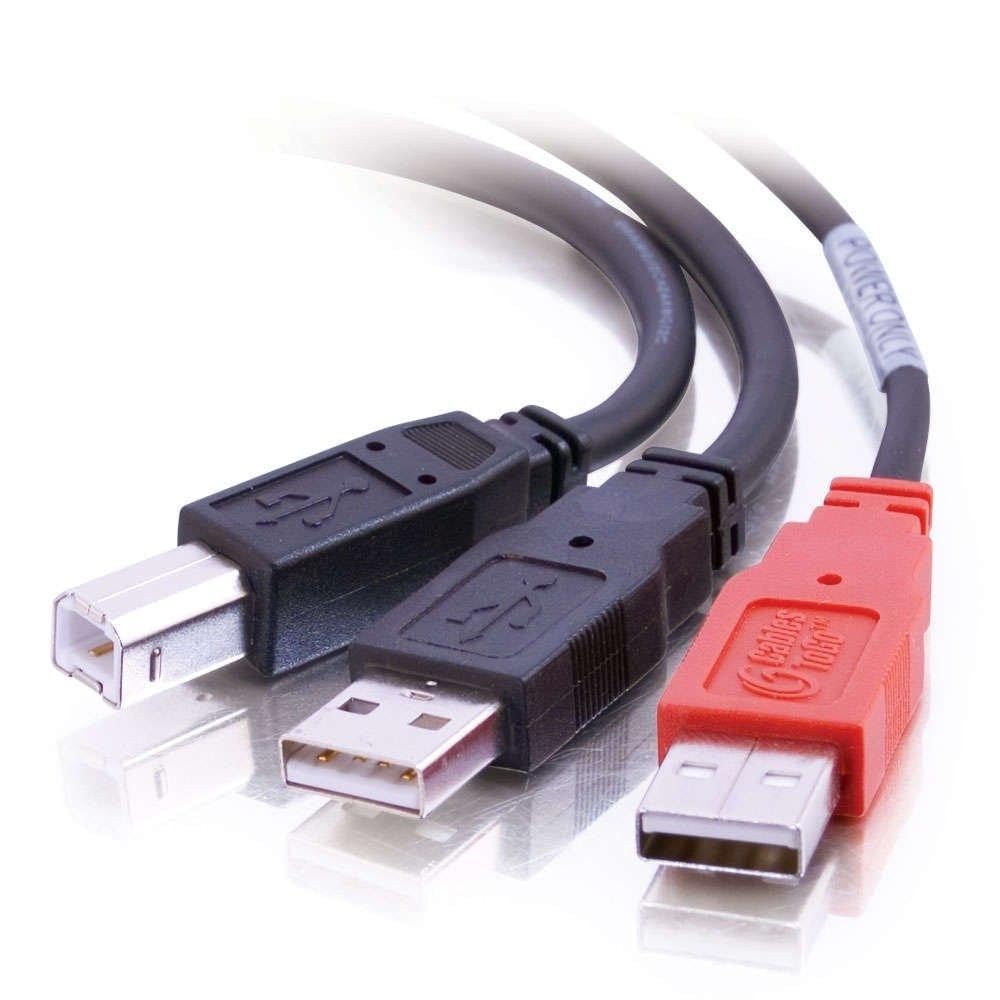 Amazon.com: C2G 81578 2M USB-B Male to 2 x USB-A Male Y