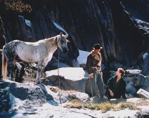 Nׂɏ͖ CObho[O} QC[N[p[ Ingrid Bergman ʐ^, 20.3x25.4cm, t[Ȃ, fʐ^|X^[