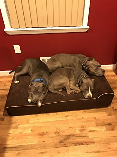 bully beds amazon