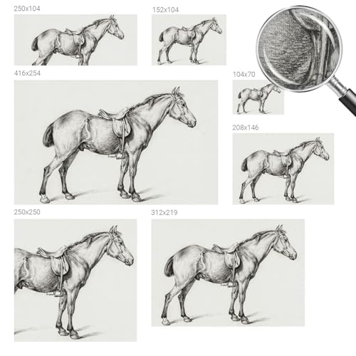Fotomural autoadhesivo de caballo para el cabecero del dormitorio 6