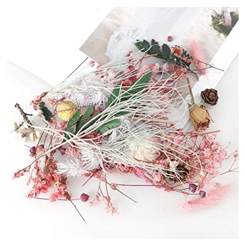 1 bolsa flores secas mezcla real para manualidades miniatura 3